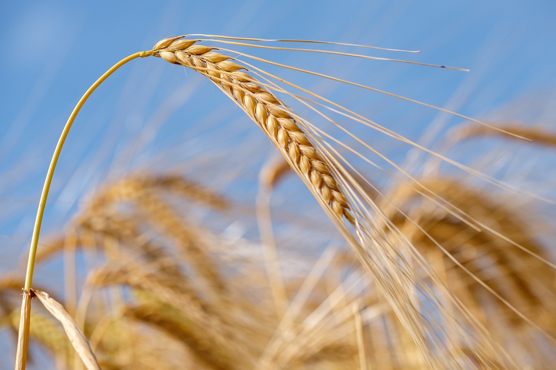 خلفية عن المؤسسة